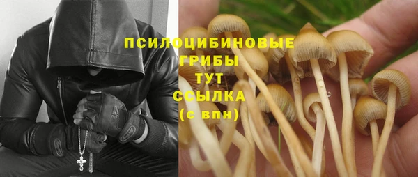 шишки Пролетарск