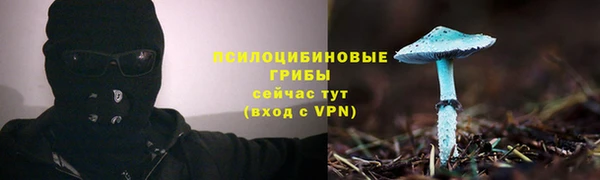 первитин Приозерск